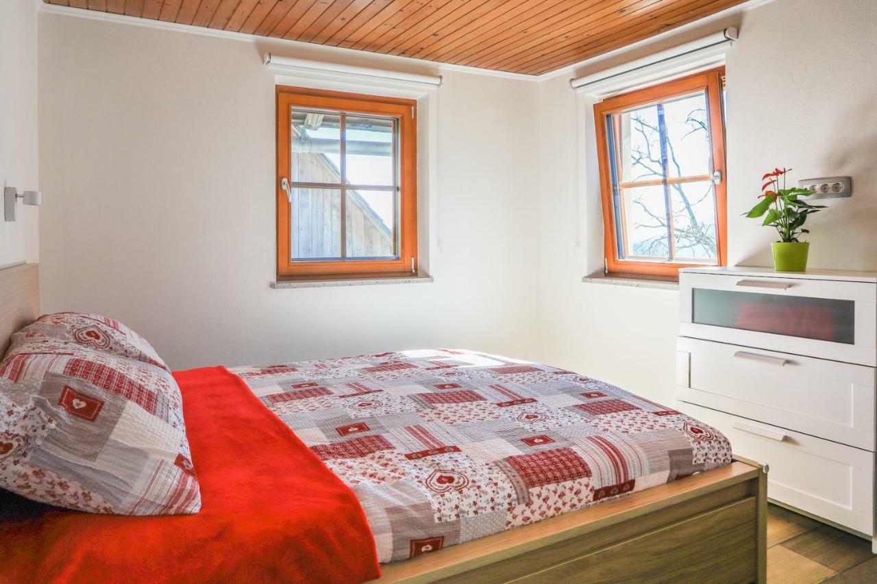 Apartmaji Tina